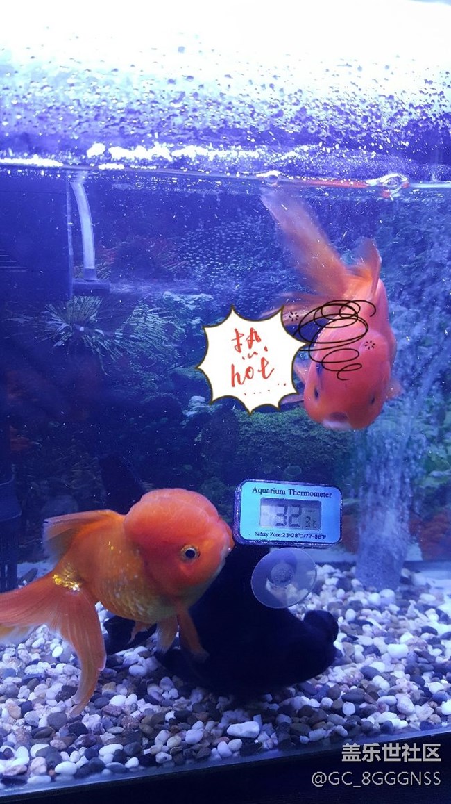 看看note5拍照怎么樣