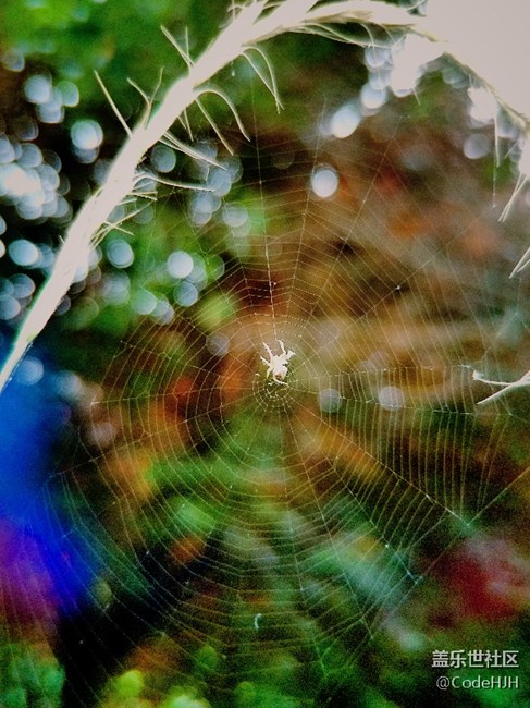 S7 edge的隨手拍（安卓7.0）