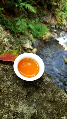 《清涼一夏》+福建南平+席地問(wèn)茶香