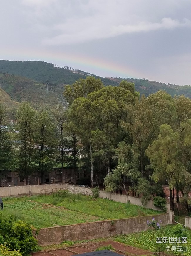 這個(gè)相機(jī)是不是出問(wèn)題了，感覺(jué)遠(yuǎn)方的樹(shù)放大變得好模糊