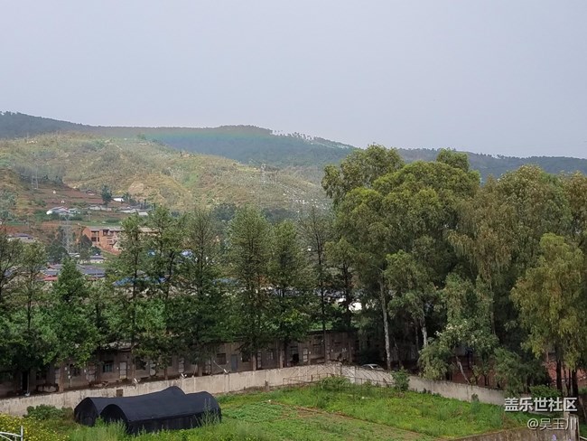 這個(gè)相機(jī)是不是出問(wèn)題了，感覺(jué)遠(yuǎn)方的樹(shù)放大變得好模糊