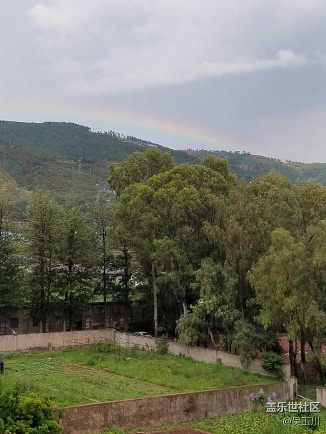 這個(gè)相機(jī)是不是出問(wèn)題了，感覺(jué)遠(yuǎn)方的樹(shù)放大變得好模糊