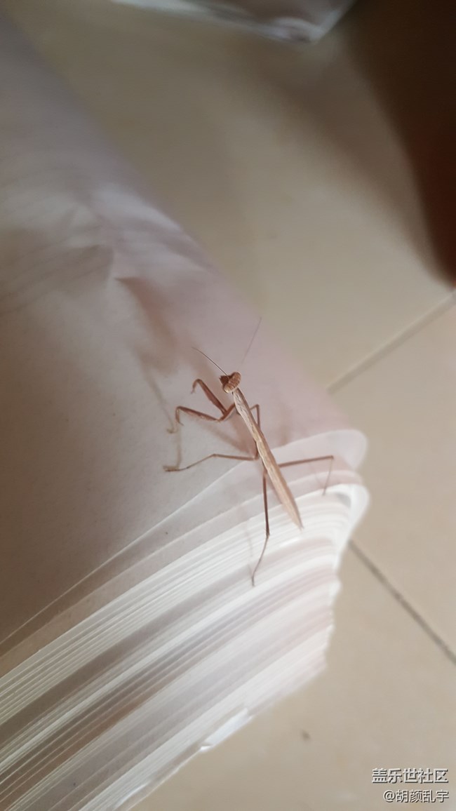 照片照的不咋地。