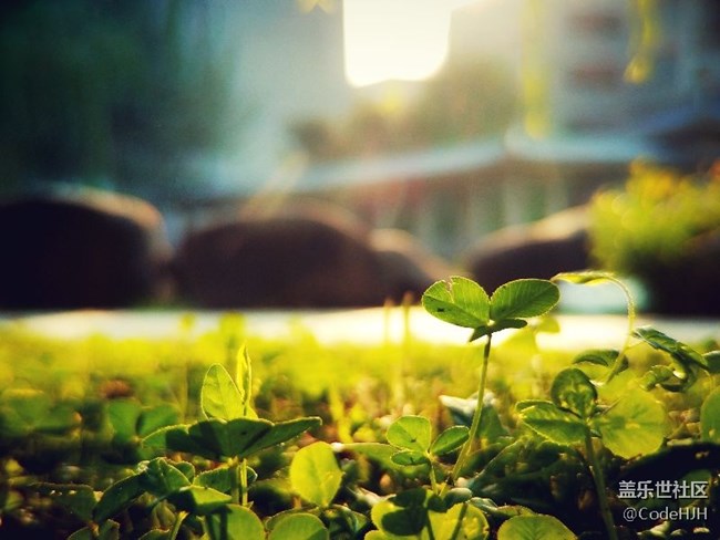 用S7 edge記錄下的美景（逆光景致）