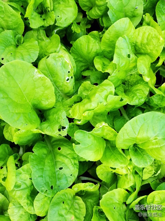 黑科技爆棚，三星S8把人機(jī)交互做到極致！