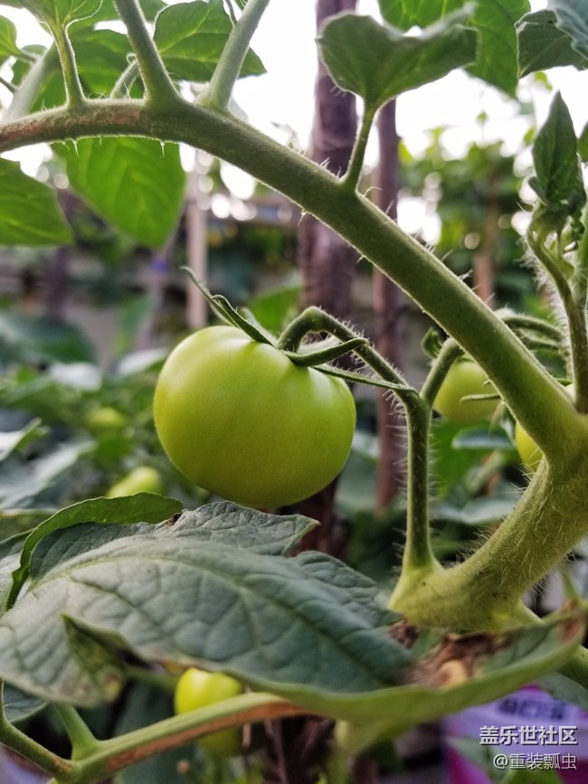 黑科技爆棚，三星S8把人機(jī)交互做到極致！