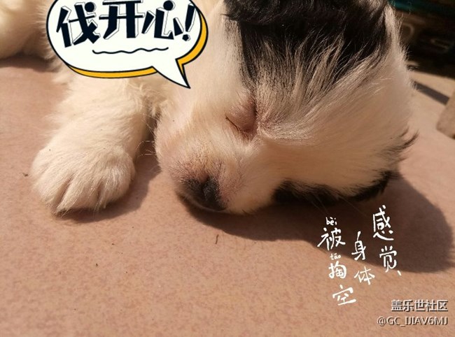 高人進貼解答，問題價值目測10元！*\(^o^)/*