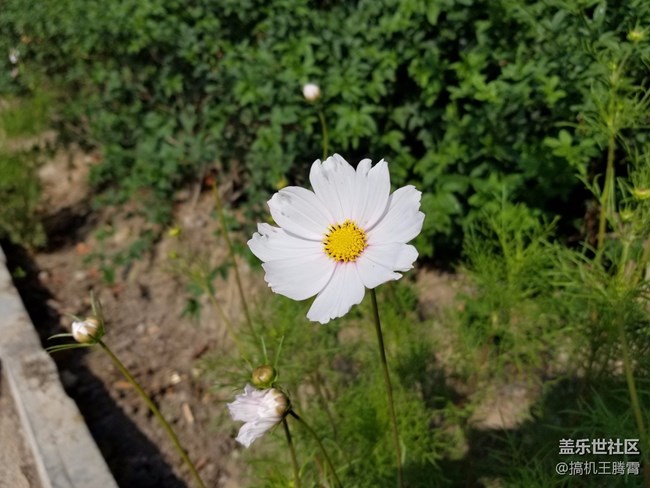 這或是下半年最具競(jìng)爭(zhēng)力的手機(jī)，從Galaxy S8看三星進(jìn)化論