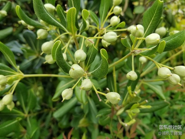 這或是下半年最具競(jìng)爭(zhēng)力的手機(jī)，從Galaxy S8看三星進(jìn)化論