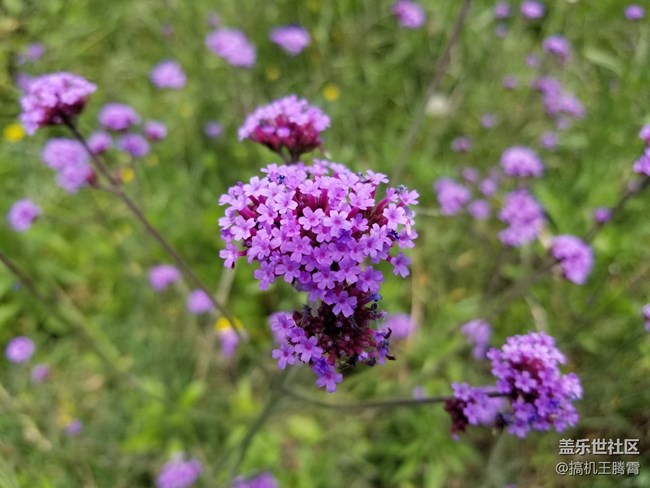 這或是下半年最具競(jìng)爭(zhēng)力的手機(jī)，從Galaxy S8看三星進(jìn)化論