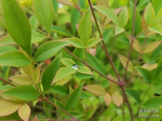 這或是下半年最具競(jìng)爭(zhēng)力的手機(jī)，從Galaxy S8看三星進(jìn)化論