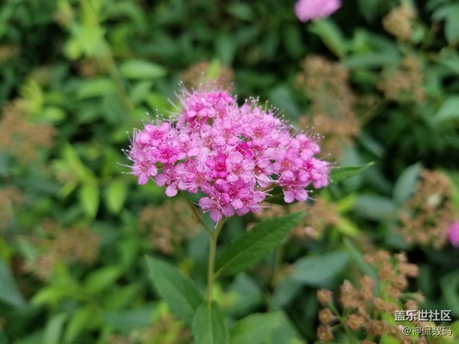 說他是安卓機(jī)皇沒人有意見吧：國行 三星 Galaxy S8上手體驗(yàn)