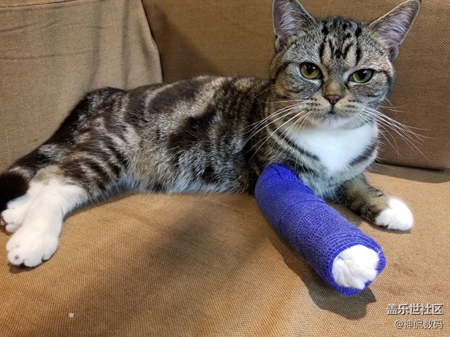 說他是安卓機(jī)皇沒人有意見吧：國行 三星 Galaxy S8上手體驗(yàn)