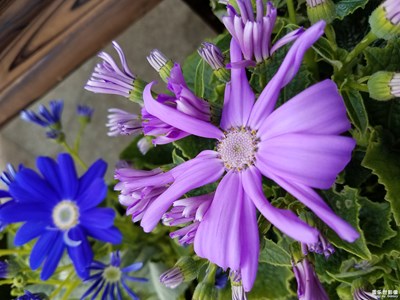 隨手一拍，找南昌的小伙伴