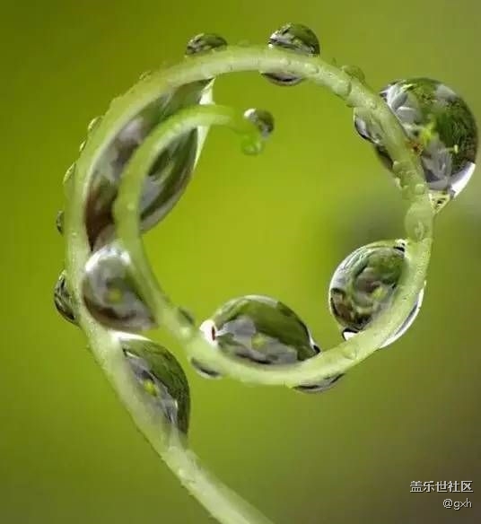 獻給沒人疼的自已！