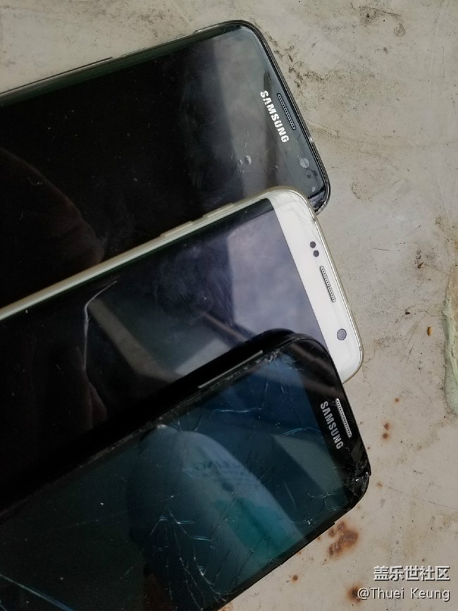 [S8曬單]