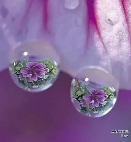 獻給沒人疼的自已！