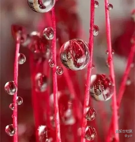 獻給沒人疼的自已！