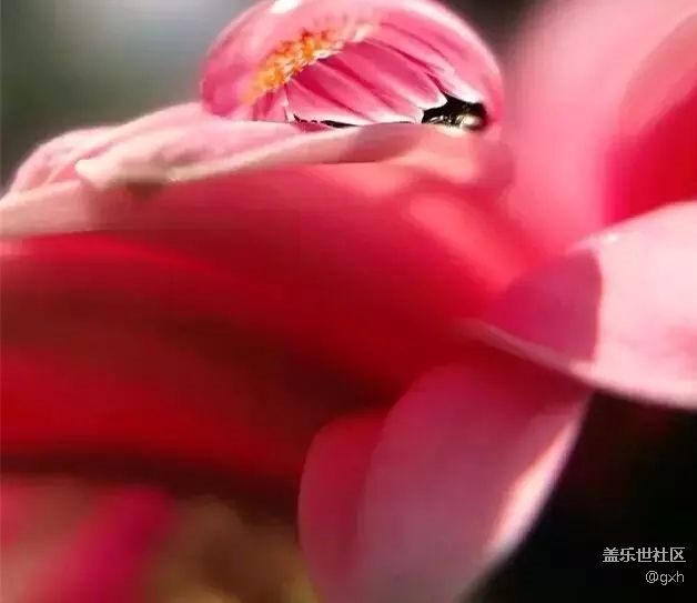 獻給沒人疼的自已！