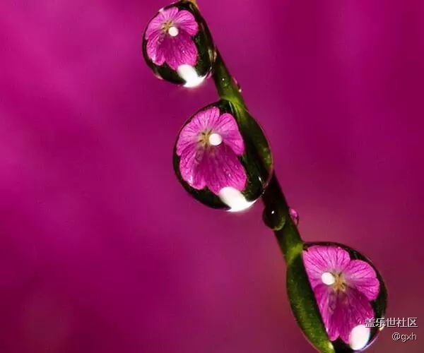 獻給沒人疼的自已！