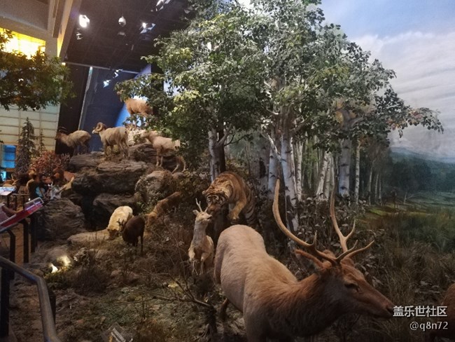 上海星部落 上?？萍拣^一日游