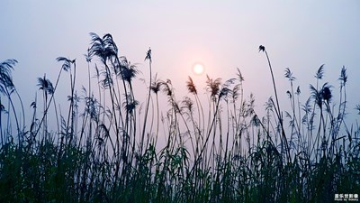 《慢生活》+太倉(cāng)+晨練隨拍