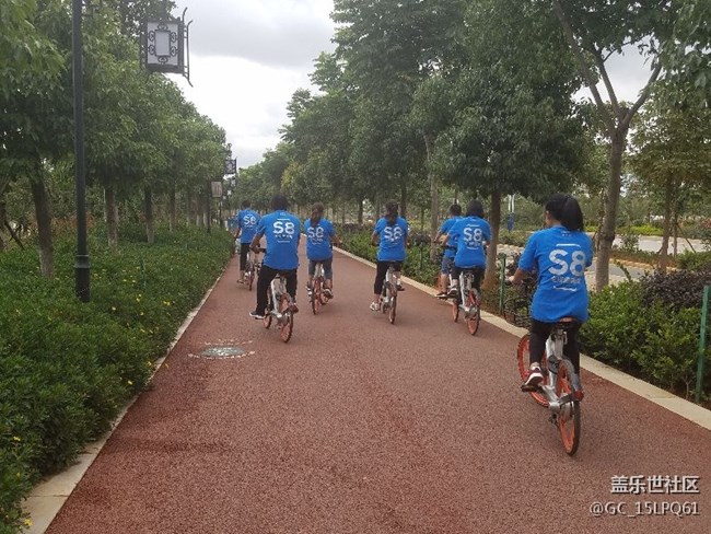 一起奔跑8,保山團隊活動