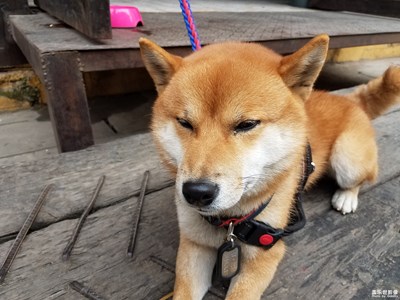 《慢生活》+南昌+慵懶