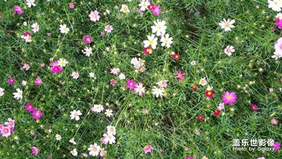 《慢生活》+廣州+濕地散步