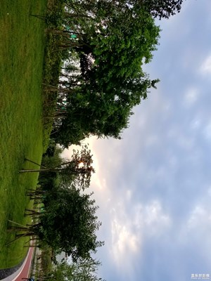 傍晚下的雍湖公園