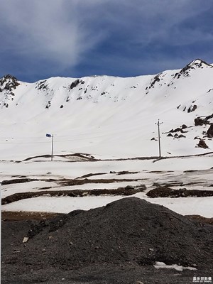 夏日的青海風光
