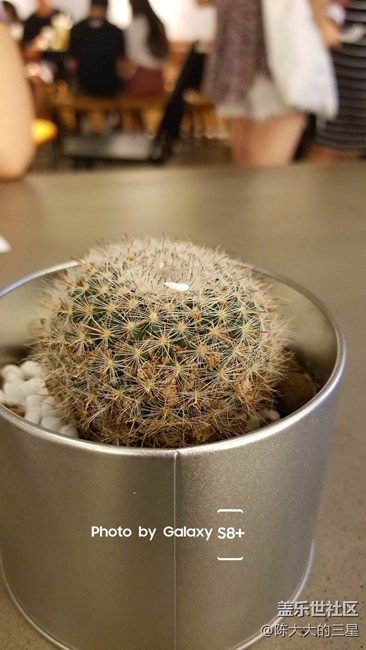 加了水印以后的s8+拍照效果，看看咋樣