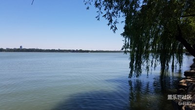 【2周年 風(fēng)】+風(fēng)起蒼嵐