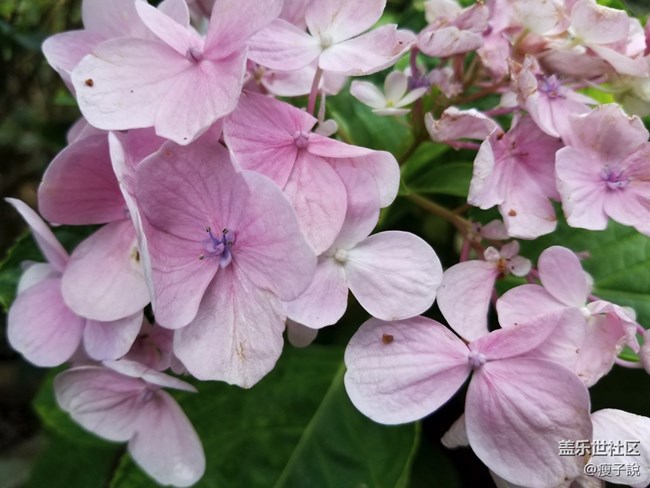 三星S8的幾條問(wèn)答，看完就知道到底適不適合你