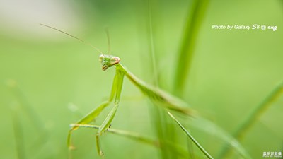 蓋樂世社區(qū)兩周年慶生帖（上）-無微不至