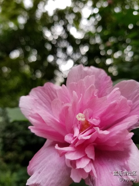 今天用s8拍了點(diǎn)照片