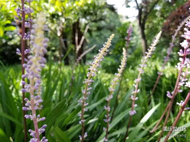 今天用s8拍了點(diǎn)照片