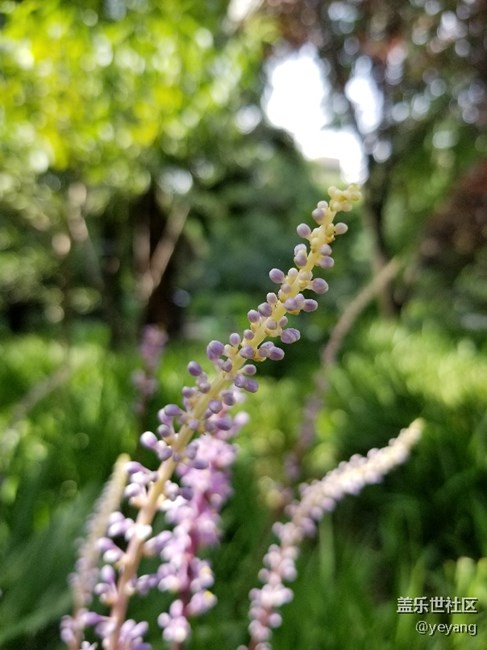 今天用s8拍了點(diǎn)照片