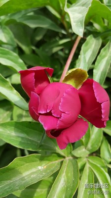 來一組圖，表達一下我此刻的心情！