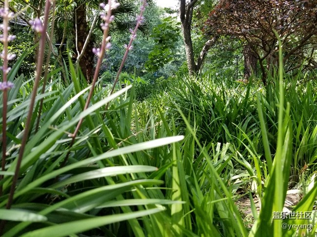 今天用s8拍了點(diǎn)照片