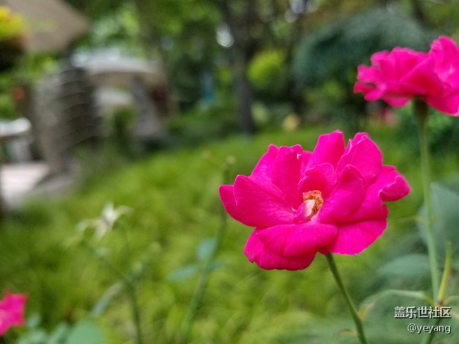 今天用s8拍了點(diǎn)照片