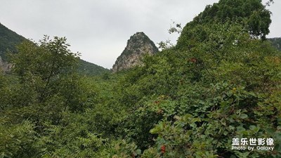 河南云臺山青龍峽