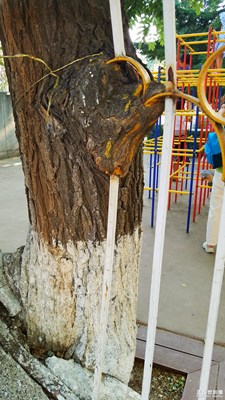 【蓋樂世社區(qū)2周年慶 】+ 韌  +北京+平常的感動