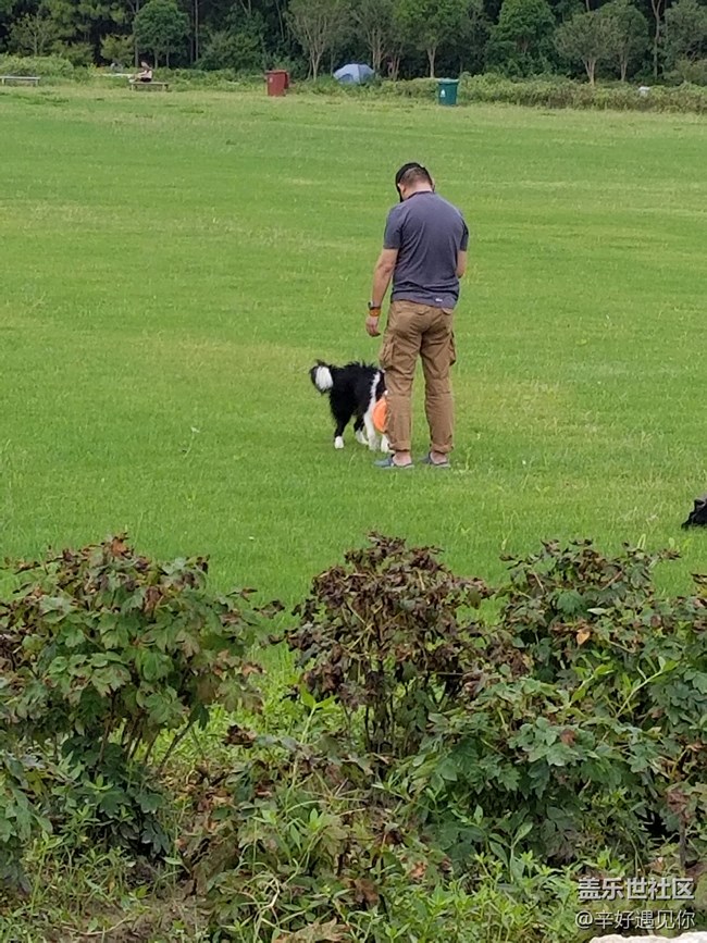 S8+后置相機問題