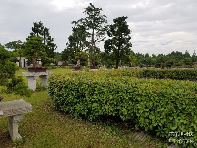 S8+后置相機問題