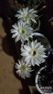 【蓋樂世社區(qū)2周年慶 三位一體 】 +洛陽市+漫長的等待