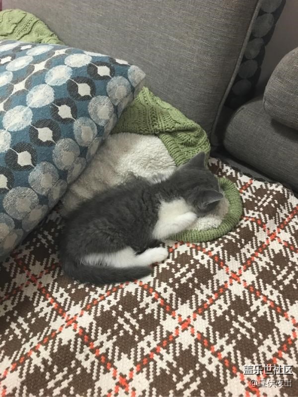 從小這么懶，是不是早戀了