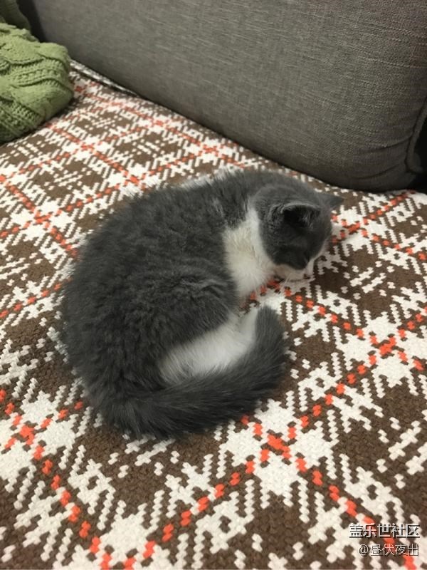 從小這么懶，是不是早戀了