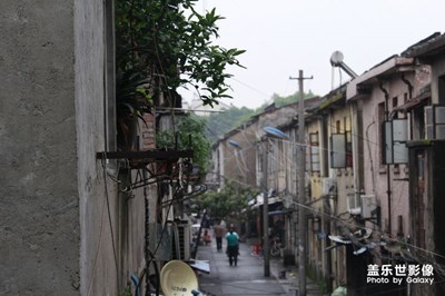 非手機(jī)拍攝，僅供觀賞