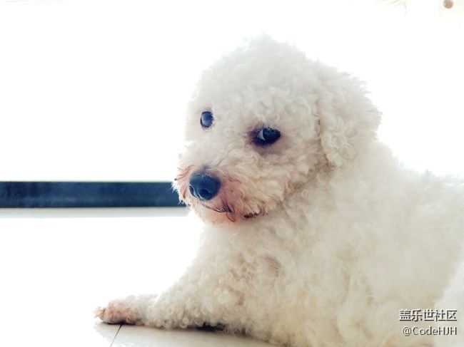 QF3相機專業(yè)模式拍照